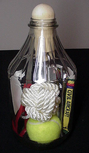 bottle11.jpg (36859 bytes)